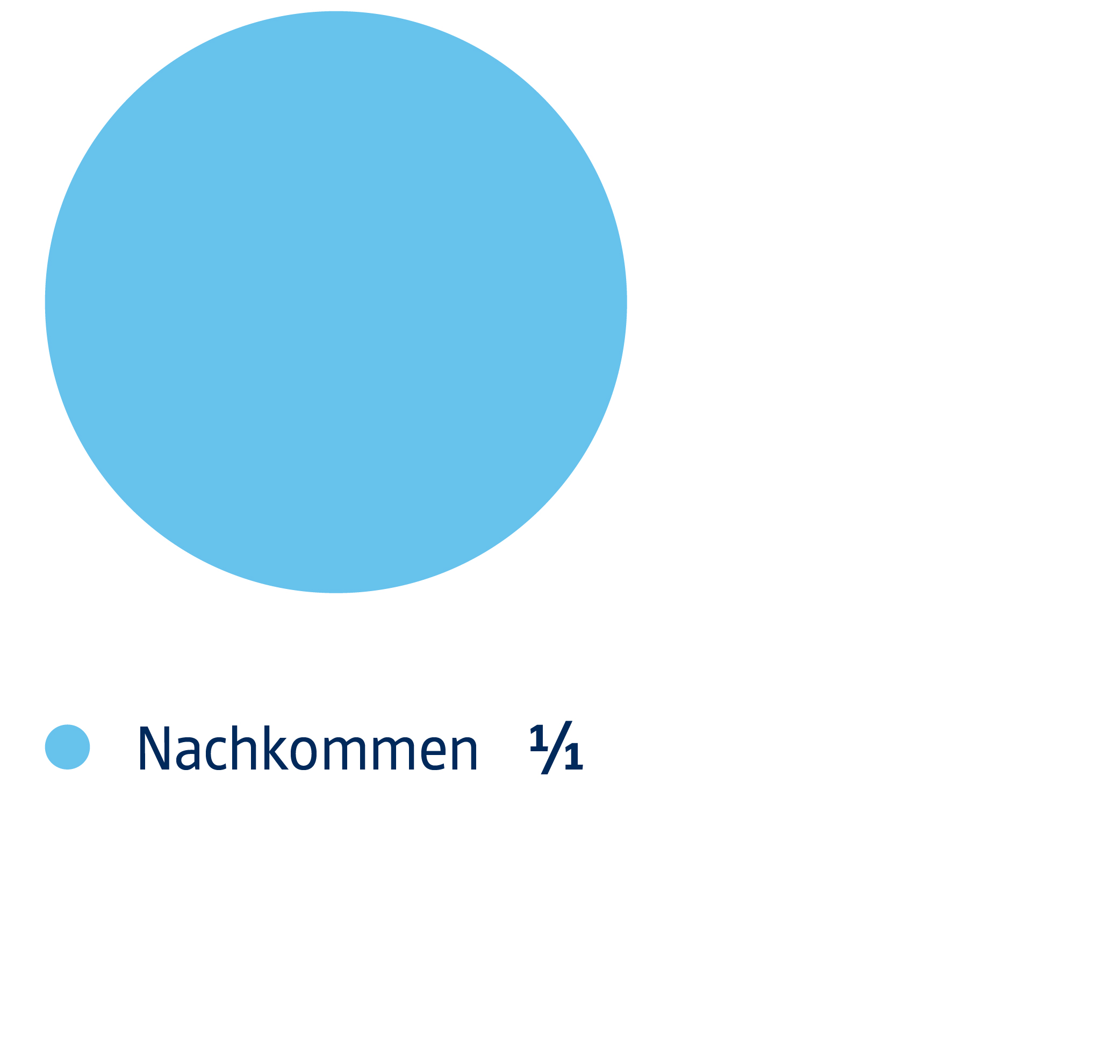 Grafik - Pflichtteile Kinder: 1/1